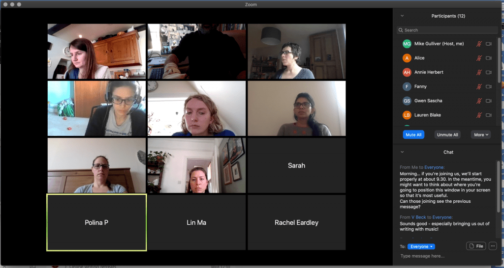 screengrab of zoom online meeting with 12 panels, each showing an individual writer. A chat stream is on the left. 