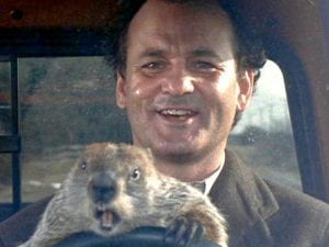 Screengrab from movie 'Groundhog day' showing Bill Murray and the groundhog
